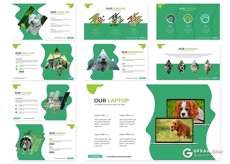 30页宠物介绍ppt模板宠物狗种类分析展示PPT模板5种主题配色 - 顶尖PPT