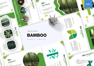 30页国外创意图形设计商务多用途keynote模板5种主题配色 - 顶尖PPT