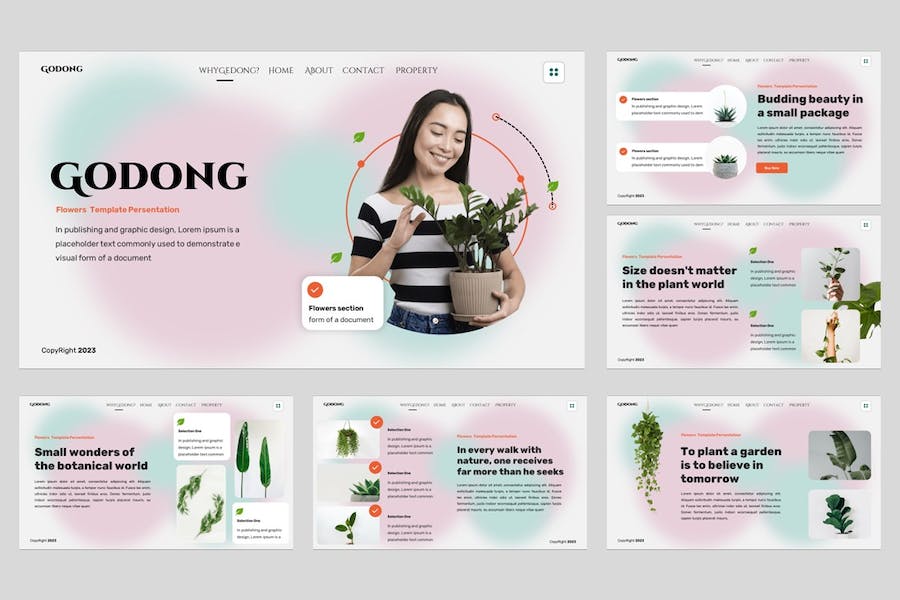 花卉设计展示方案创意应用装饰方案PPT模板 - 顶尖PPT