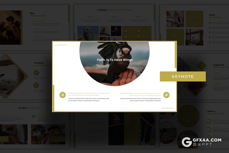 30页扁平化产品摄影图片展示商务工作总结多用途keynote模板5种主题配色 - 顶尖PPT