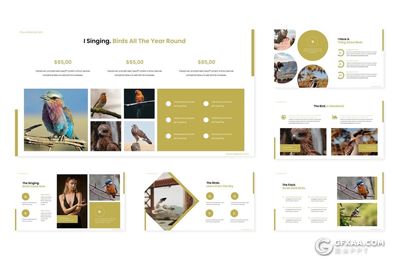 30页扁平化产品摄影图片展示商务工作总结多用途keynote模板5种主题配色 - 顶尖PPT