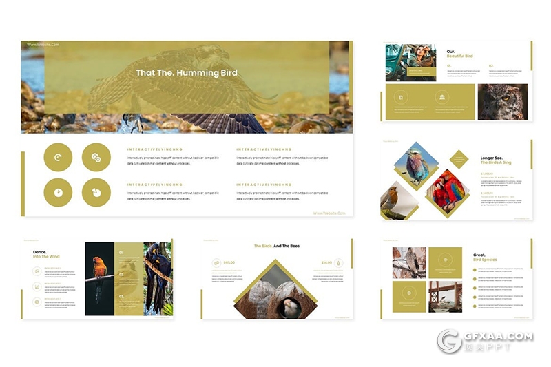 30页扁平化产品摄影图片展示商务工作总结多用途keynote模板5种主题配色 - 顶尖PPT