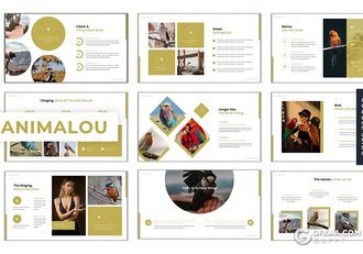 30页扁平化产品摄影图片展示商务工作总结多用途Google slides模板5种主题配色 - 顶尖PPT