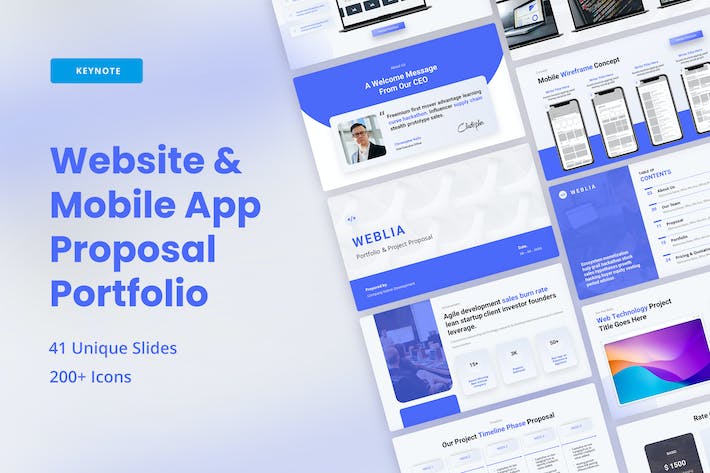 网站应用程序项目开发组合建议书商业计划通用keynote模板 - 顶尖PPT