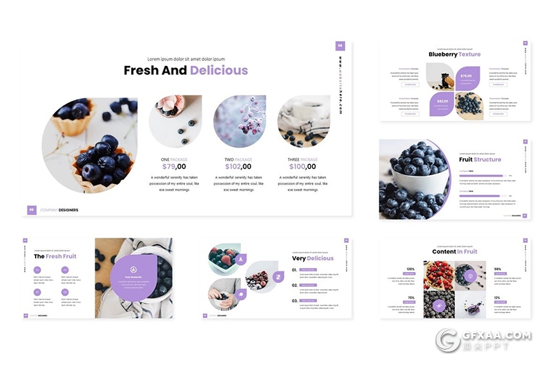 30页欧美简约商务风格水果展示工作计划总结PPT模板5种主题配色 - 顶尖PPT