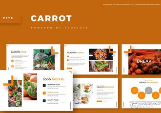 30页国外极简文艺风格蔬菜果蔬介绍展示PPT模板5种主题配色 - 顶尖PPT