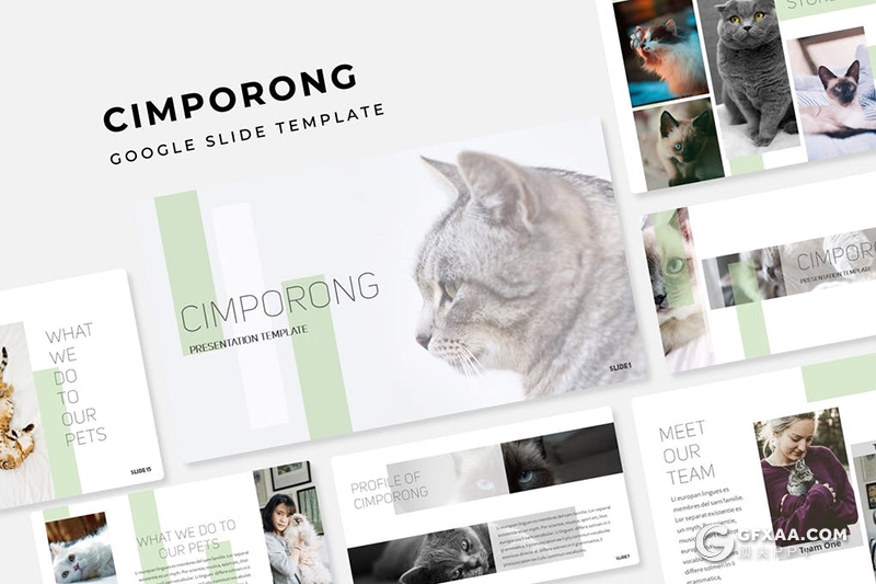 30页简约风格宠物饲养介绍宣传Google slides模板5种主题配色 - 顶尖PPT