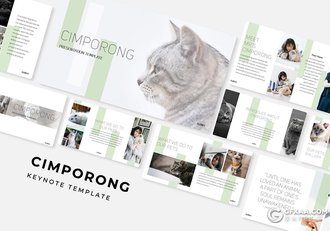 30页简约风格宠物饲养介绍宣传keynote模板5种主题配色 - 顶尖PPT