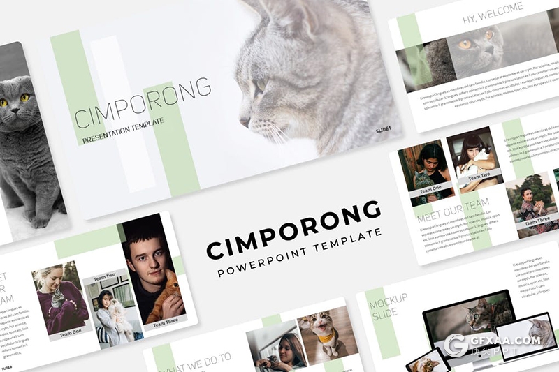 30页简约风格宠物饲养介绍宣传PPT模板5种主题配色 - 顶尖PPT