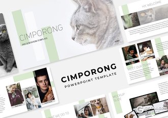 30页简约风格宠物饲养介绍宣传PPT模板5种主题配色 - 顶尖PPT