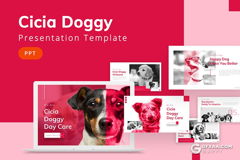 30页宠物介绍宠物店宠物主题PPT模板 - 顶尖PPT