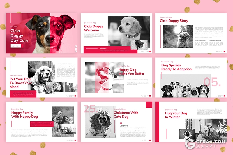 30页宠物介绍宠物店宠物主题PPT模板 - 顶尖PPT