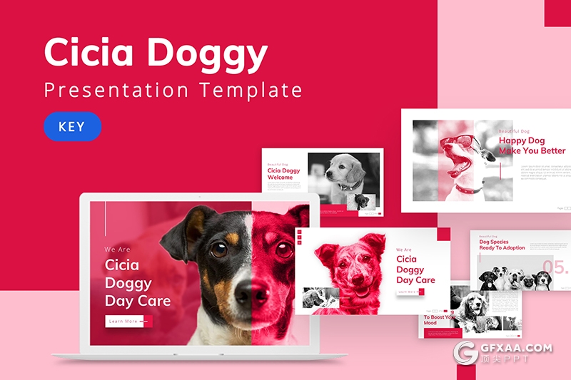 30页宠物介绍宠物店宠物主题keynote模板 - 顶尖PPT