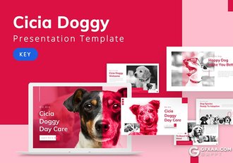 30页宠物介绍宠物店宠物主题keynote模板 - 顶尖PPT