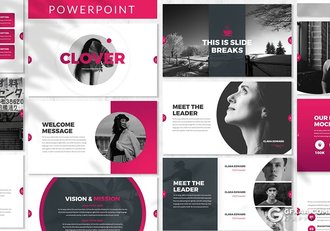 30页时尚简约风格工作计划总结多用途PPT模板3种主题配色 - 顶尖PPT