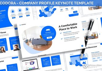 30页国外商务风格企业团队介绍工作计划汇报多用途keynote模板3种主题配色 - 顶尖PPT