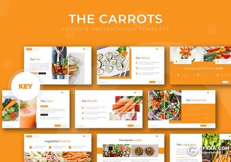 30页蔬菜果蔬介绍美食行业市场调研分析keynote模板5种主题配色 - 顶尖PPT