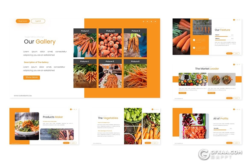 30页蔬菜果蔬介绍美食行业市场调研分析Google slides模板5种主题配色 - 顶尖PPT