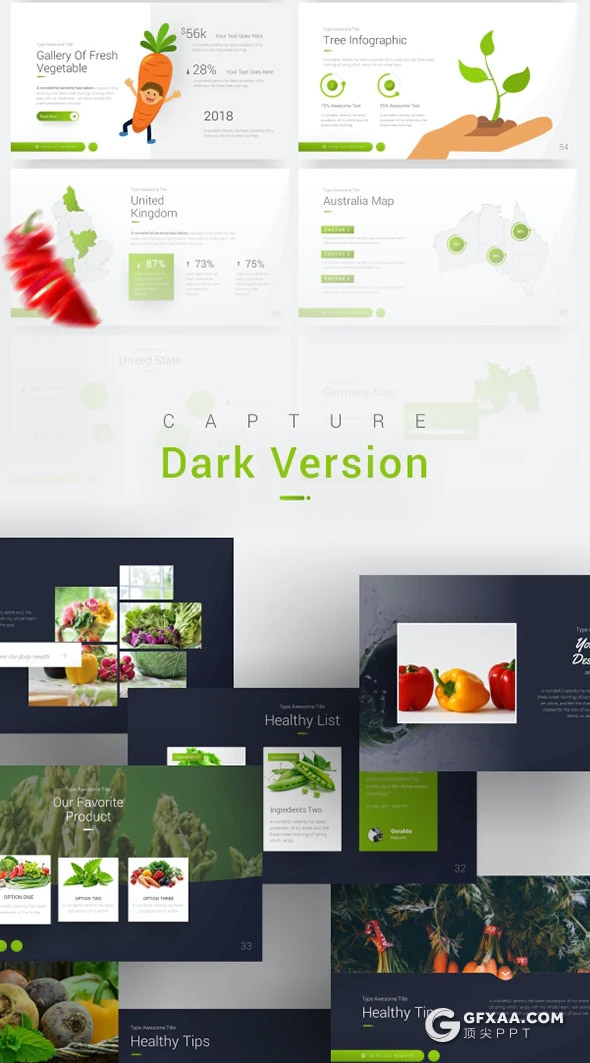 60页蔬菜果蔬营养价值介绍蔬菜品类宣传keynote模板10种主题配色 - 顶尖PPT