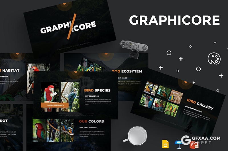 30页欧美商务风格鹦鹉鸟类介绍PPT,keynote,Google slides模板5种主题配色 - 顶尖PPT