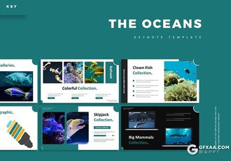 30页国外扁平化海洋生物介绍统计keynote模板5种主题配色 - 顶尖PPT