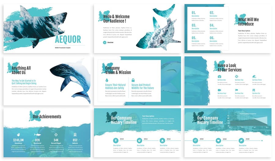 海洋生物科普知识展示教育PPT模板 - 顶尖PPT