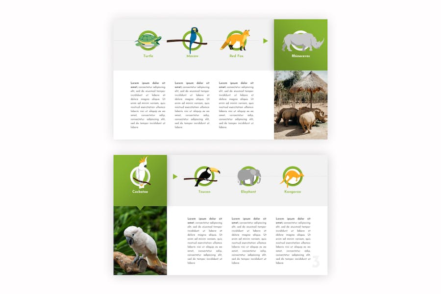 环境保护大自然介绍教学课件PPT模板 - 顶尖PPT