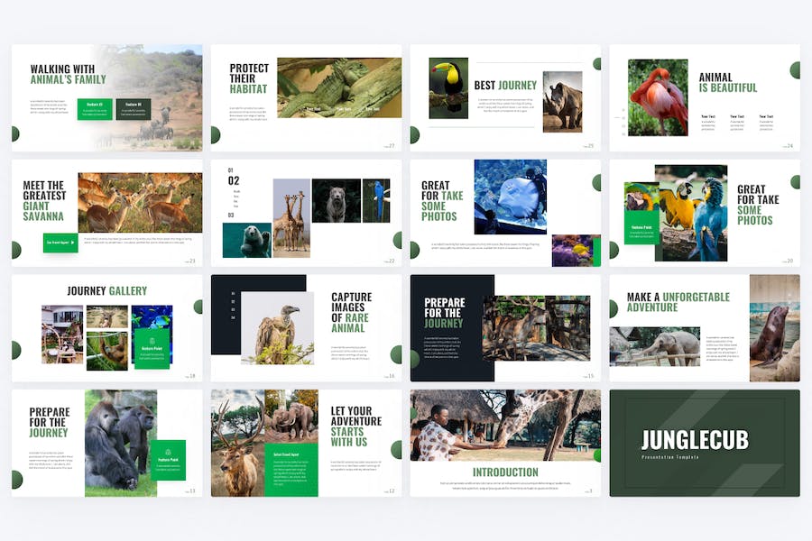 动物图片展示动物园动物介绍动物主题keynote模板 - 顶尖PPT