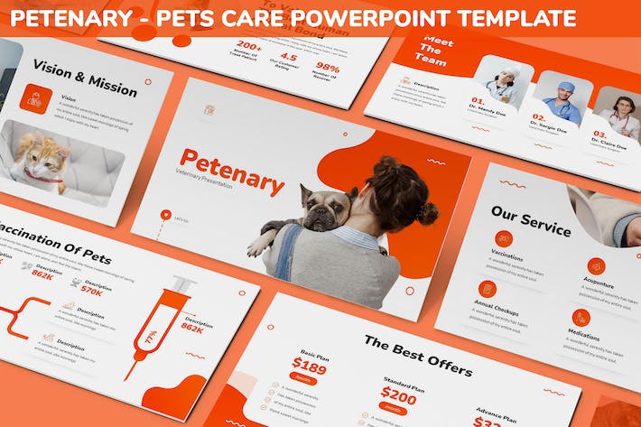 宠物护理PPT模板 - 顶尖PPT