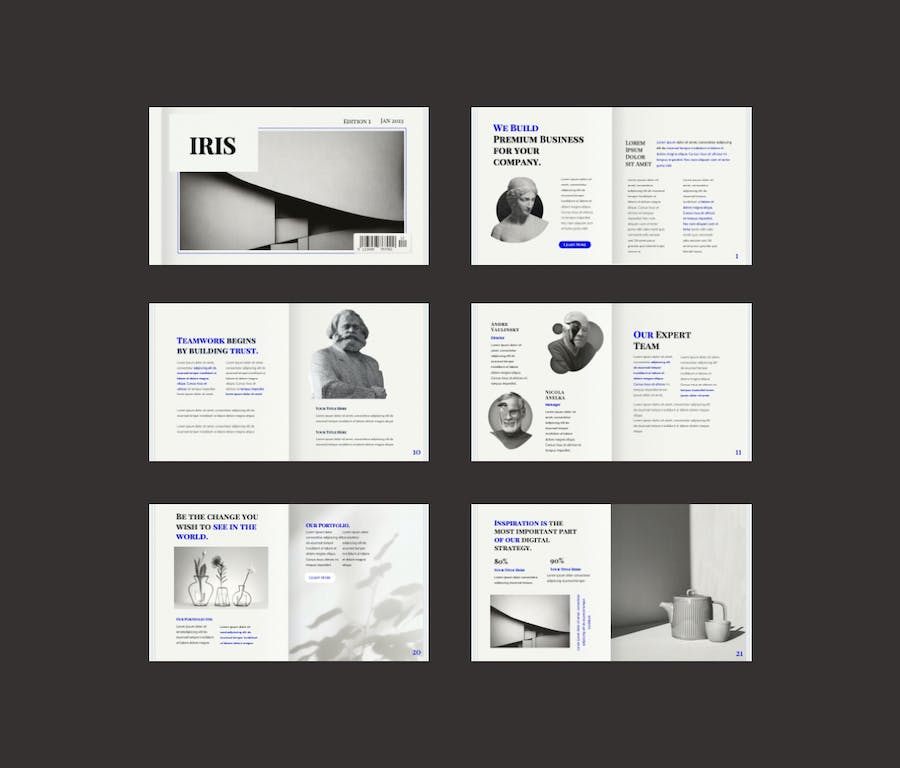 商业机构虹膜主题PPT模板 - 顶尖PPT