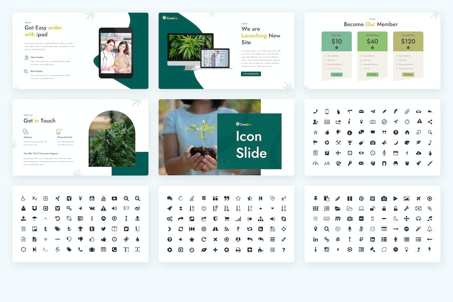 医疗大麻医学keynote模板 - 顶尖PPT