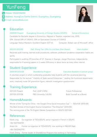 欧美大气英文简历模板 - 顶尖PPT