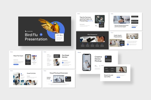简约设计风格禽流感主题PPT模板 - 顶尖PPT