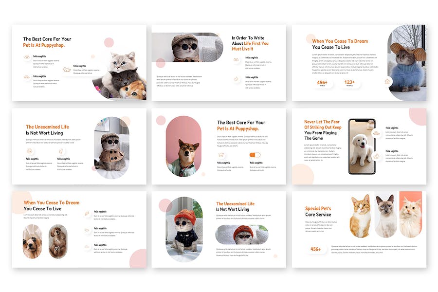 宠物商店运营方案介绍主题演讲Keynote模板 - 顶尖PPT