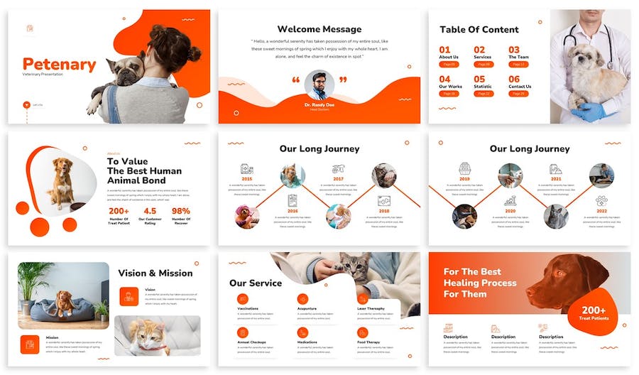 宠物护理PPT模板 - 顶尖PPT