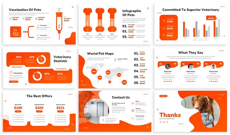宠物护理PPT模板 - 顶尖PPT