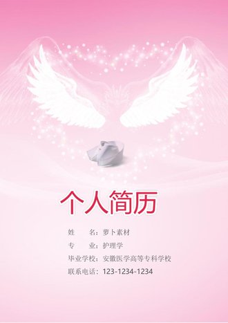 护理护士个人简历自荐信模板 - 顶尖PPT