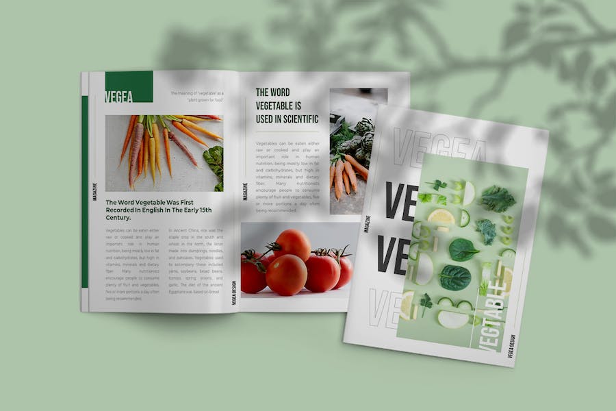 农业蔬菜产品推广品牌宣传Keynote模板 - 顶尖PPT