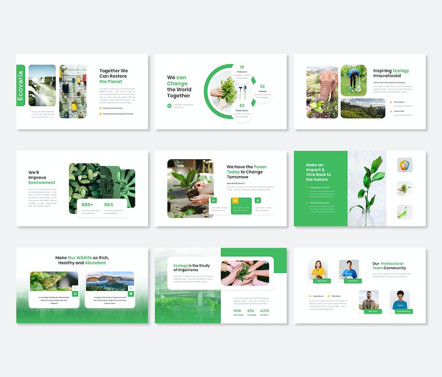 生态环境保护研究专业PPT模板 - 顶尖PPT