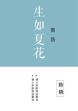 文艺设计师求职简历模板 - 顶尖PPT