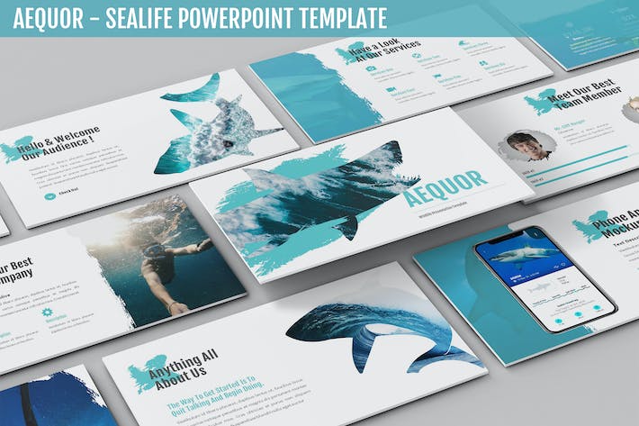 海洋生物科普知识展示教育PPT模板 - 顶尖PPT