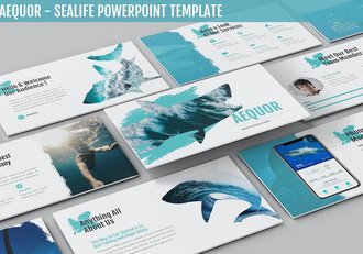 海洋生物科普知识展示教育PPT模板 - 顶尖PPT