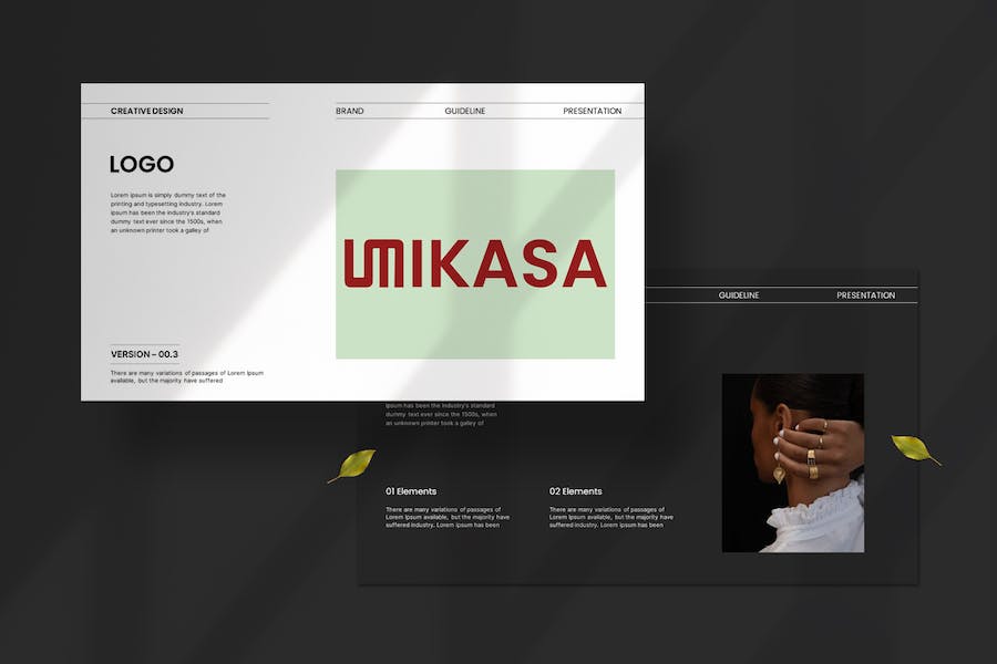 品牌指南推广宣传PPT模板 - 顶尖PPT