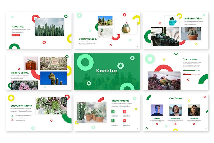 多彩仙人掌图标商业计划书PPT模板 - 顶尖PPT