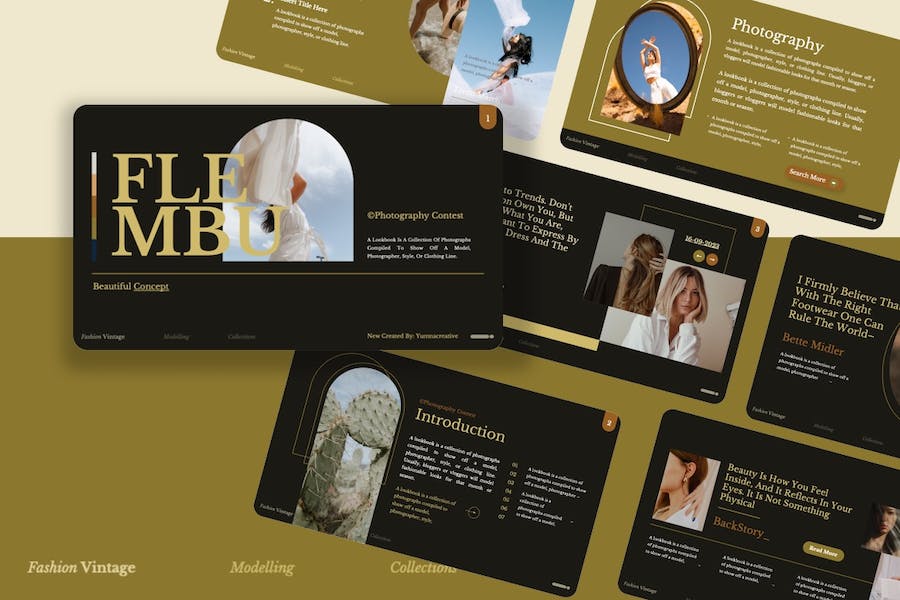 摄影技术讲述展示方案应用推介PPT模板 - 顶尖PPT