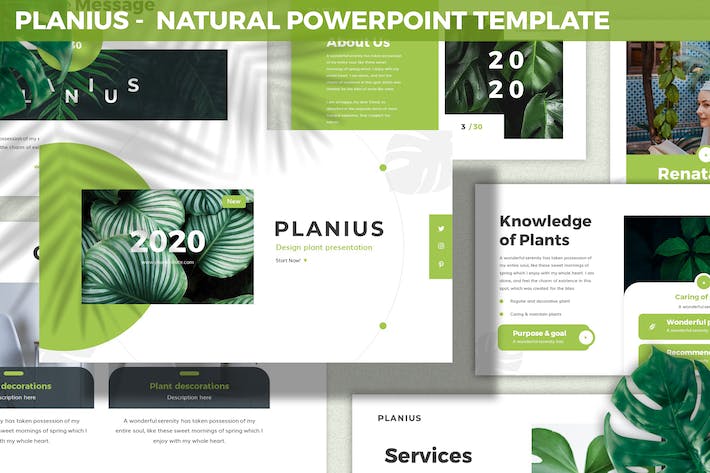 自然生态讲述展示规划设计应用PPT模板 - 顶尖PPT