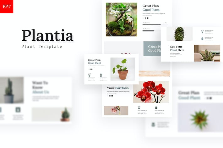 简约风格绿植介绍展示PPT模板 - 顶尖PPT