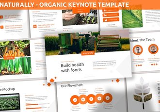 天然有机农业食品品牌推介产品营销展示Keynote模板 - 顶尖PPT