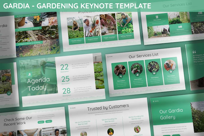 园艺果蔬栽培国外keynote模板 - 顶尖PPT