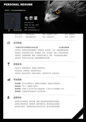 财务会计求职简历模板 - 顶尖PPT